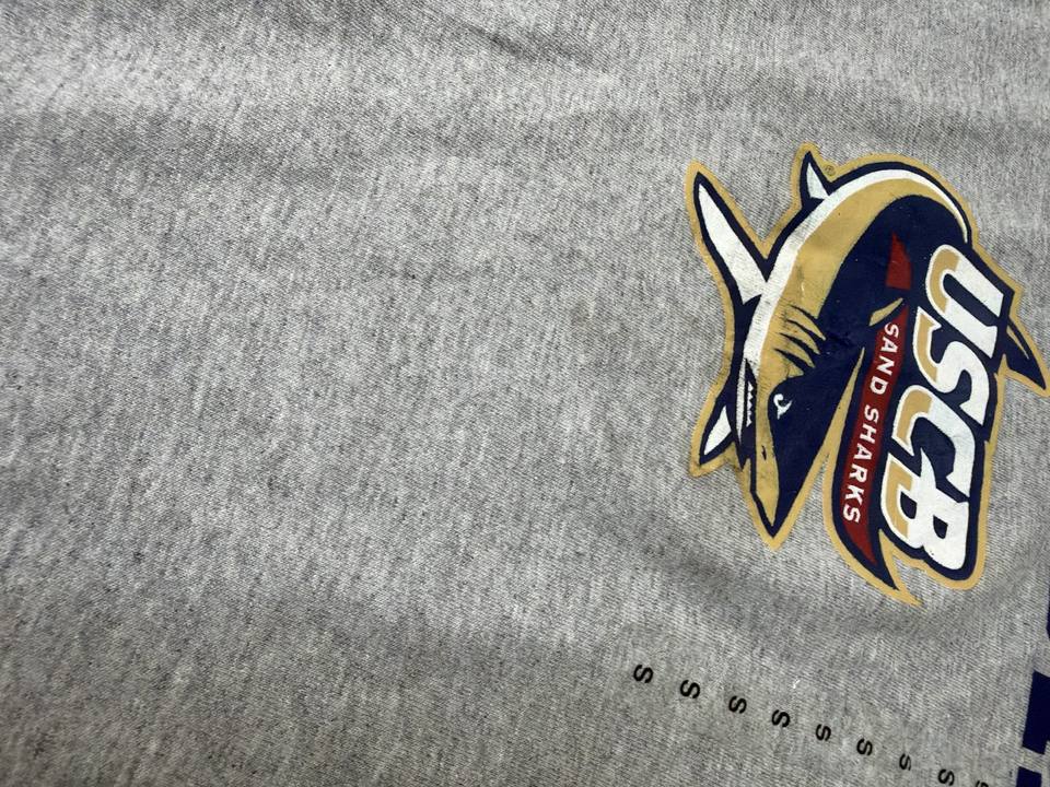 Champion Camiseta Manga Corta Gris Jaspeado Vintage Básica — foto 2